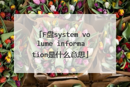 F盘system volume information是什么意思