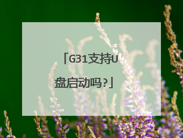 G31支持U盘启动吗?