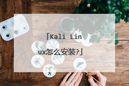 Kali Linux怎么安装?