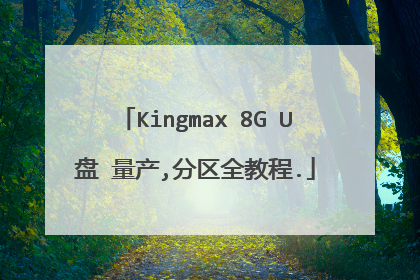 Kingmax 8G U盘 量产,分区全教程.