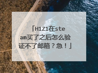 H1Z1在steam买了之后怎么验证不了邮箱?急!