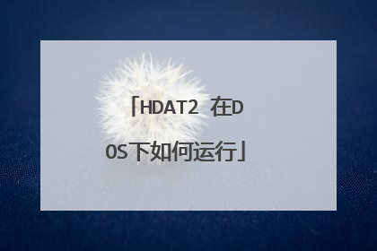 HDAT2 在DOS下如何运行