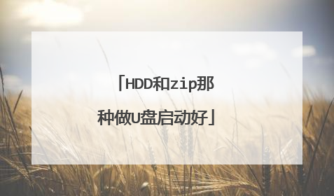 HDD和zip那种做U盘启动好