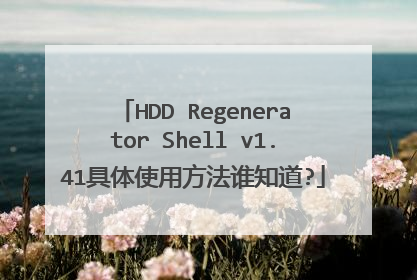HDD Regenerator Shell v1.41具体使用方法谁知道?