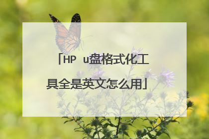 HP u盘格式化工具全是英文怎么用