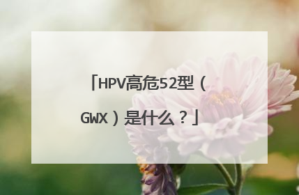 HPV高危52型(GWX)是什么?