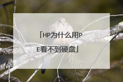HP为什么用PE看不到硬盘