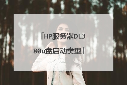 HP服务器DL380u盘启动类型