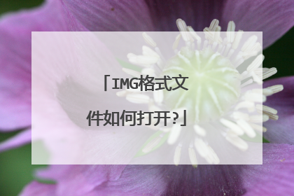 IMG格式文件如何打开?