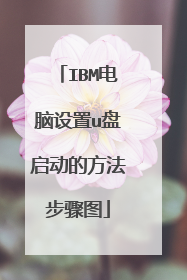 IBM电脑设置u盘启动的方法步骤图