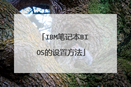 IBM笔记本BIOS的设置方法