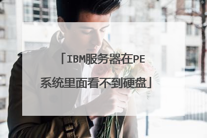 IBM服务器在PE系统里面看不到硬盘