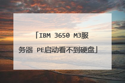 IBM 3650 M3服务器 PE启动看不到硬盘