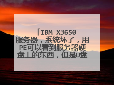 IBM X3650服务器,系统坏了,用PE可以看到服务器硬盘上的东西,但是U盘什么的不认