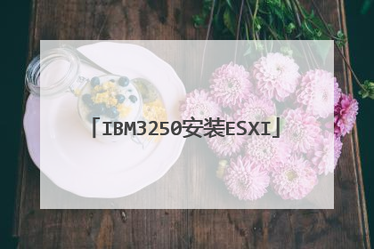 IBM3250安装ESXI
