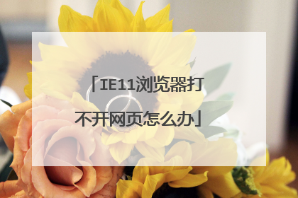 IE11浏览器打不开网页怎么办