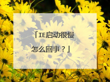 IE启动很慢怎么回事?