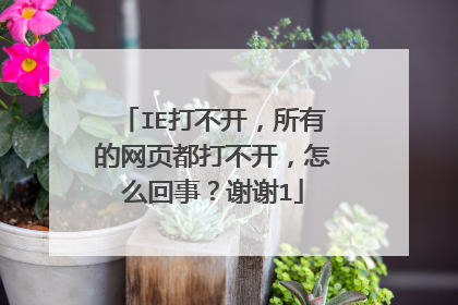 IE打不开,所有的网页都打不开,怎么回事?谢谢1