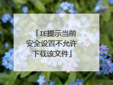 IE提示当前安全设置不允许下载该文件
