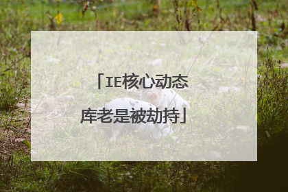 IE核心动态库老是被劫持