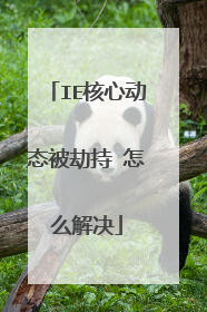 IE核心动态被劫持 怎么解决
