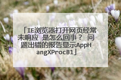 IE浏览器打开网页经常未响应 是怎么回事? 问题出错的报告显示AppHangXProcB1