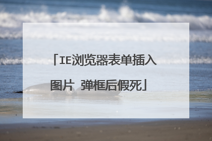 IE浏览器表单插入图片 弹框后假死