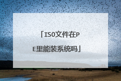 ISO文件在PE里能装系统吗