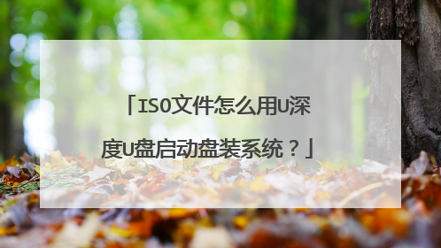 ISO文件怎么用U深度U盘启动盘装系统?