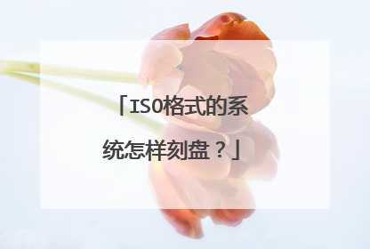 ISO格式的系统怎样刻盘?