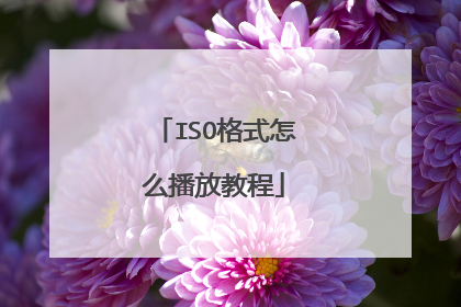 ISO格式怎么播放教程