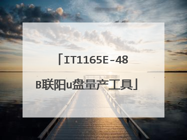 IT1165E-48B联阳u盘量产工具