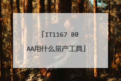 IT1167 B0AA用什么量产工具