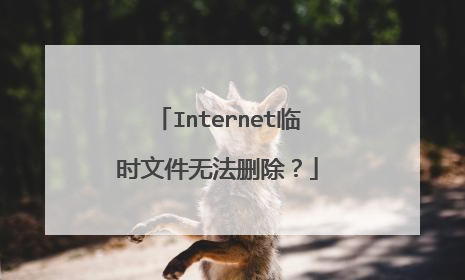 Internet临时文件无法删除?