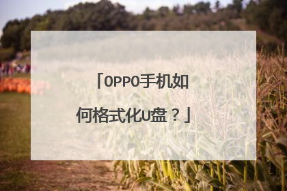 OPPO手机如何格式化U盘?