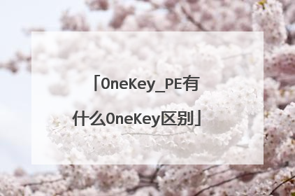 OneKey_PE有什么OneKey区别