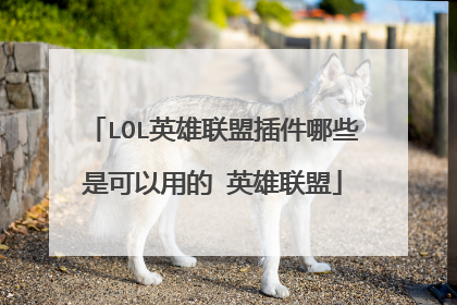 LOL英雄联盟插件哪些是可以用的 英雄联盟
