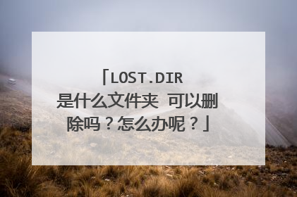 LOST.DIR 是什么文件夹 可以删除吗?怎么办呢?