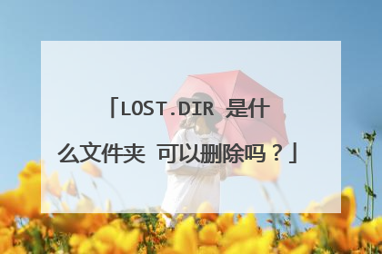 LOST.DIR 是什么文件夹 可以删除吗？