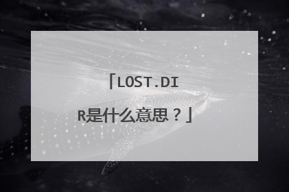 LOST.DIR是什么意思?