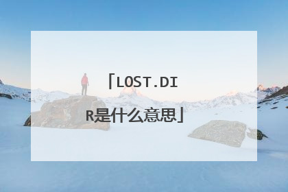 LOST.DIR是什么意思