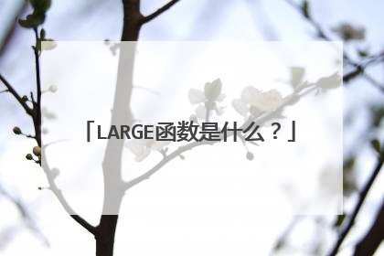 LARGE函数是什么?