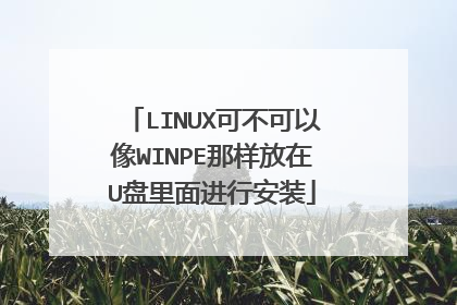 LINUX可不可以像WINPE那样放在U盘里面进行安装