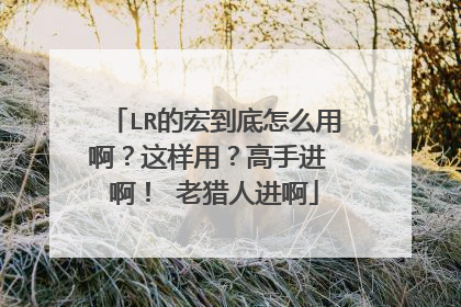 LR的宏到底怎么用啊?这样用?高手进 啊! 老猎人进啊