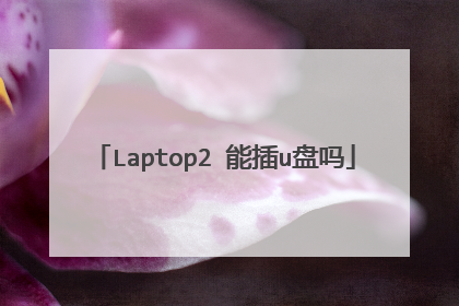 Laptop2 能插u盘吗