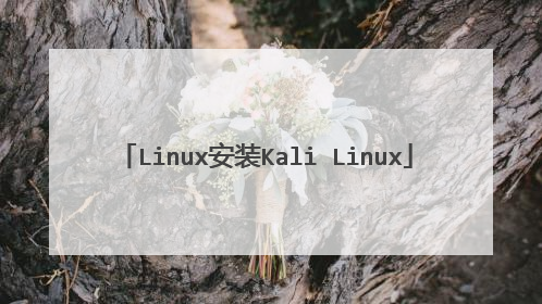 Linux安装Kali Linux
