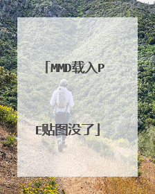 MMD载入PE贴图没了