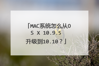 MAC系统怎么从OS X 10.9.5升级到10.10?