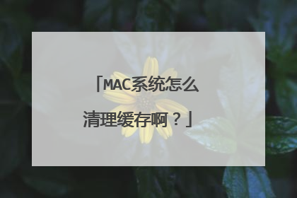 MAC系统怎么清理缓存啊?