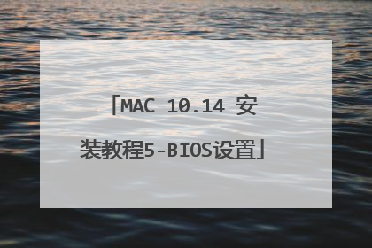 MAC 10.14 安装教程5-BIOS设置